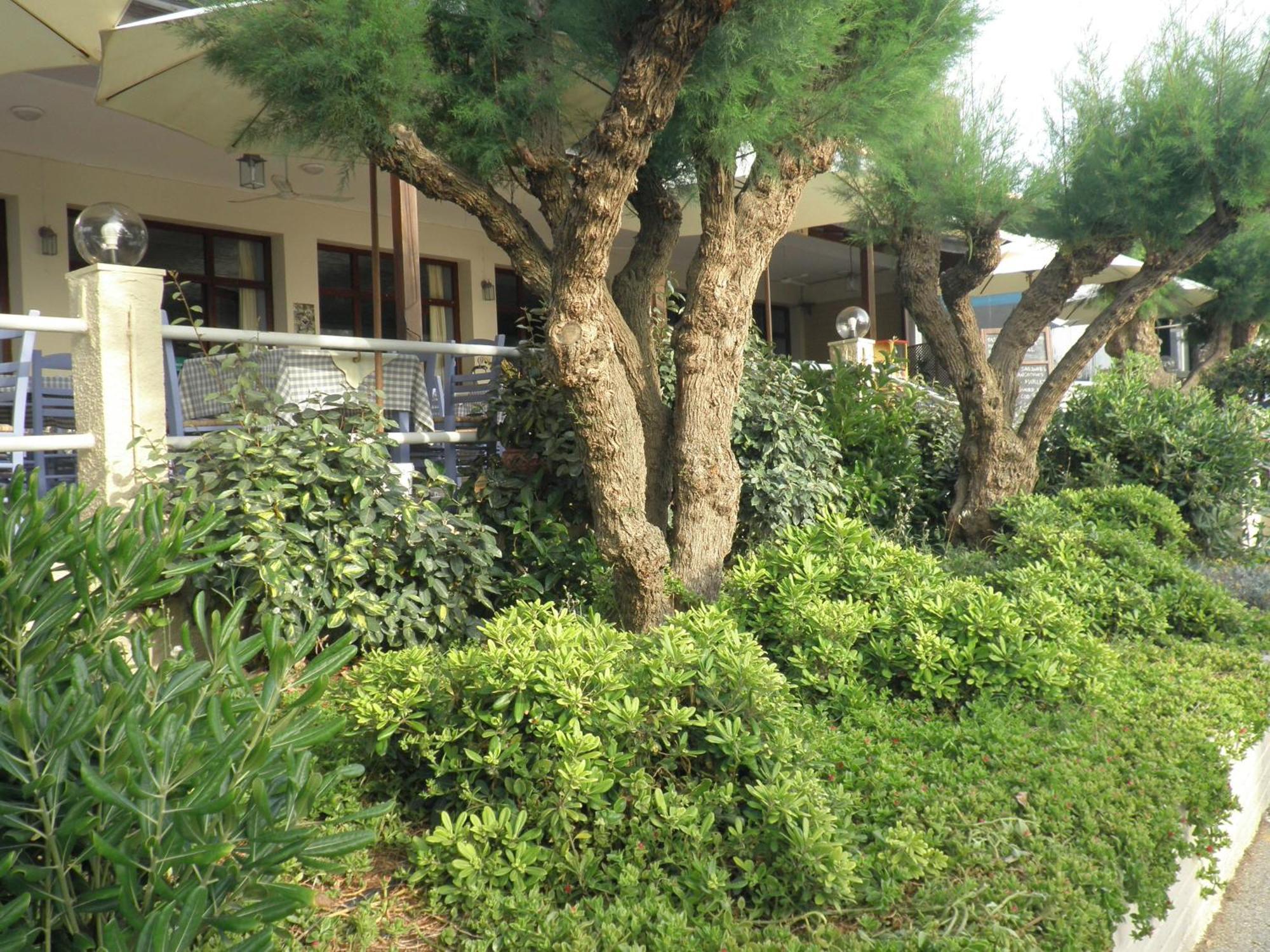 Akrogiali Kyparissia Buitenkant foto