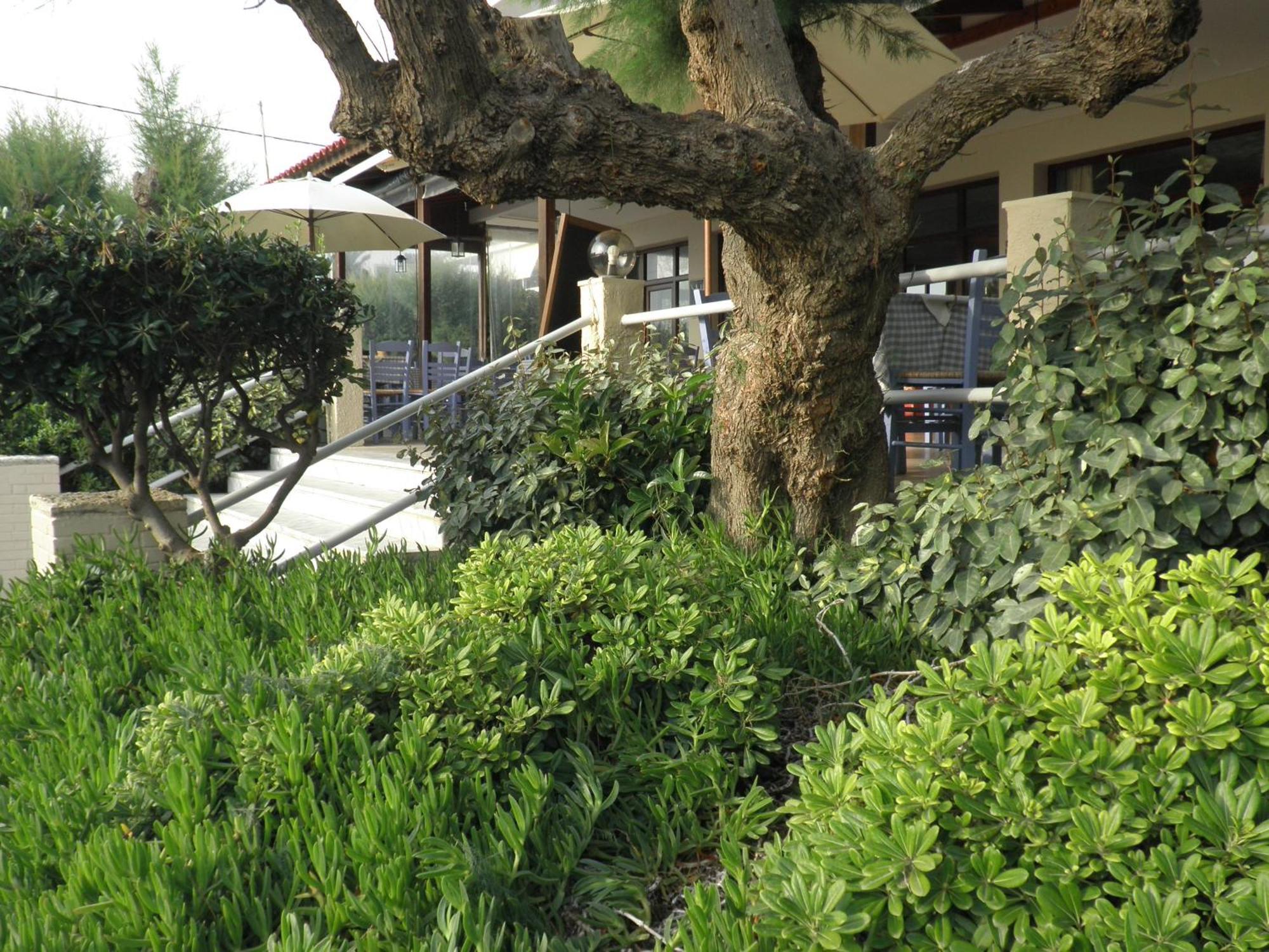 Akrogiali Kyparissia Buitenkant foto
